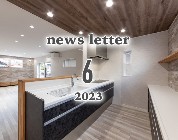 ニュースレター6月号