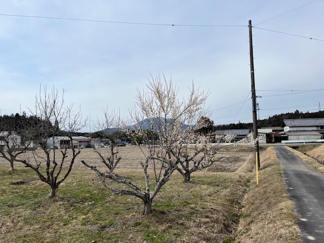 恵那市大井町で 売土地の新情報 先行案内します