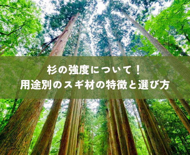 杉の強度について｜知っておきたい！用途別に解説するスギ材の特徴と選び方