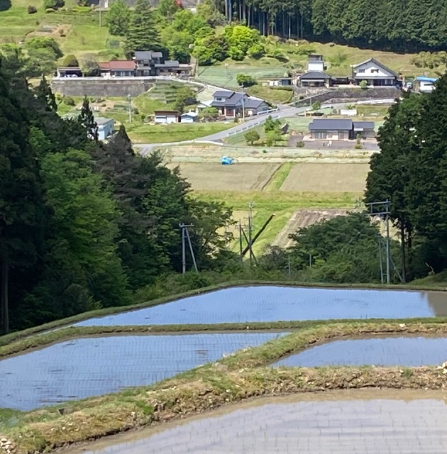 農作業！
