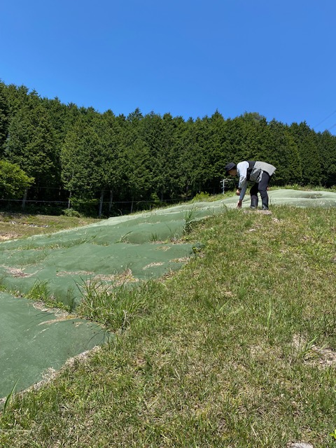 草刈り機
