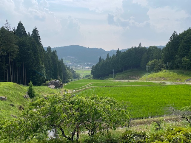 草刈りでリフレッシュ|暮らしを楽しむ気持ちは家づくりにもつながる