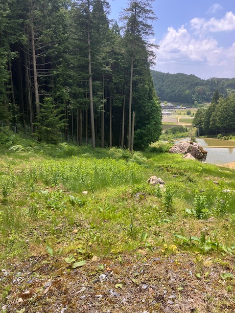 受け継がれる土地と草刈りの一日