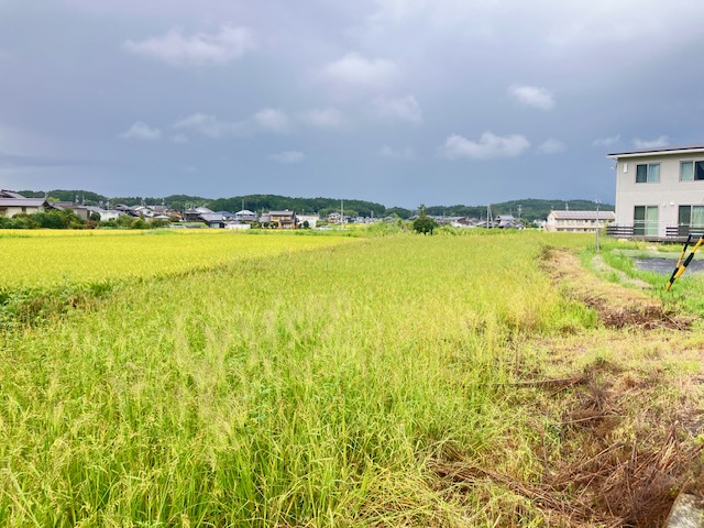 中津川市茄子川